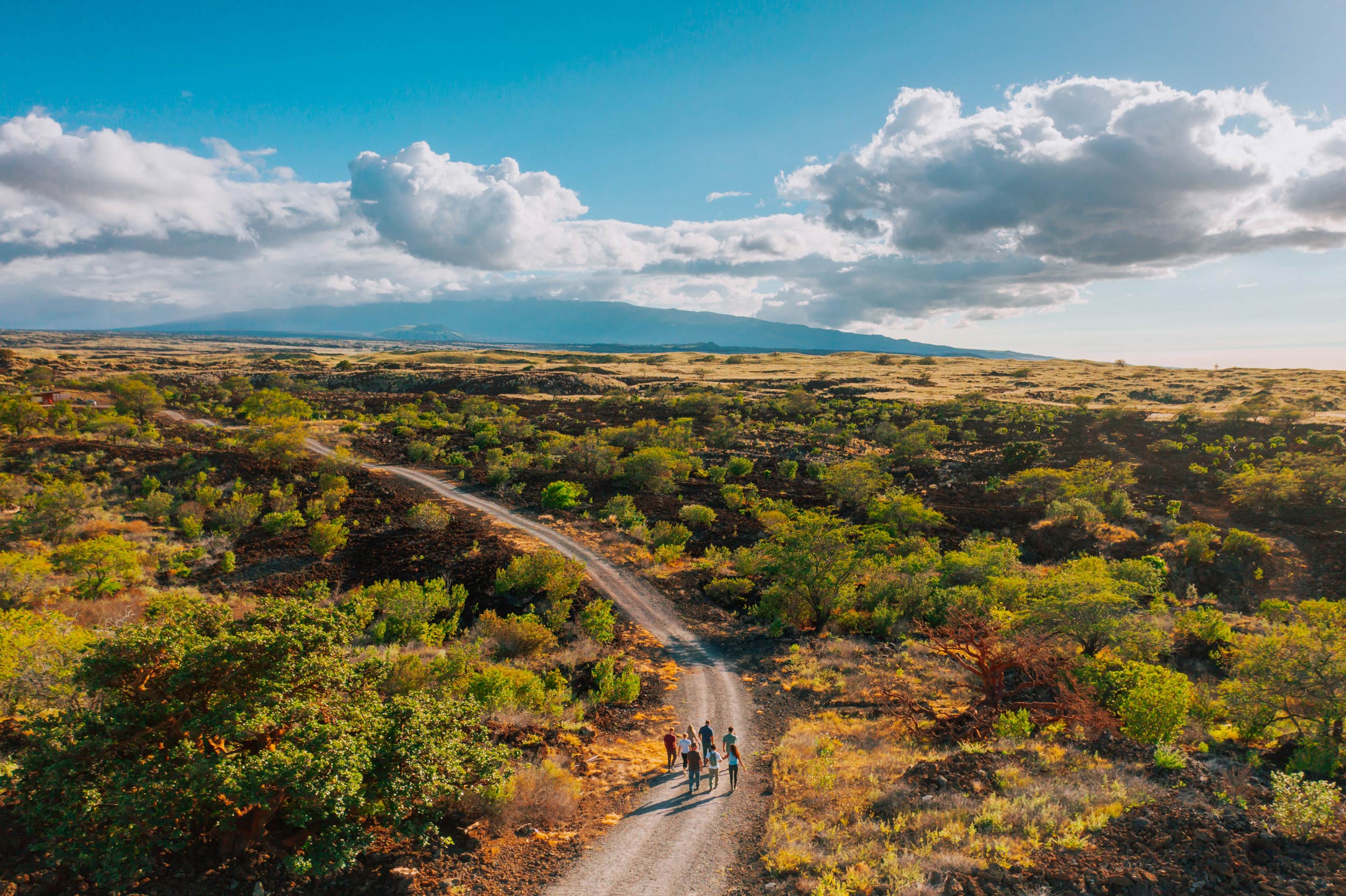 MAUNAKEA HAWAII FOREST AND TRAIL