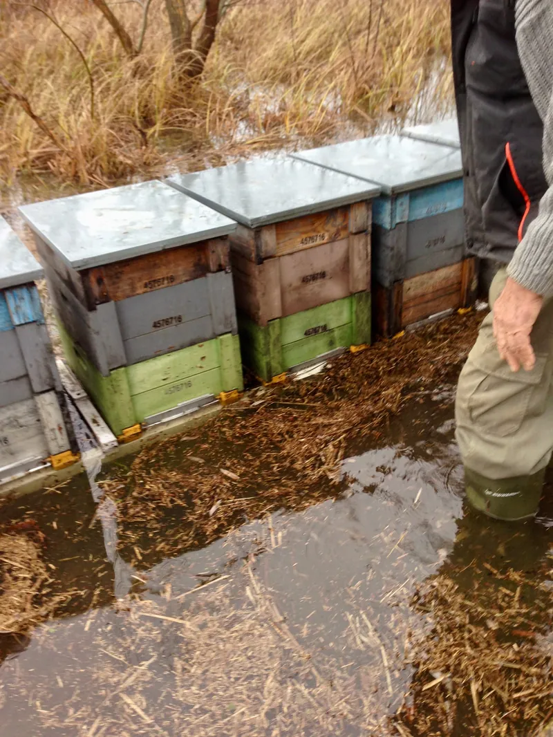 Elárasztott méhkaptárak az árvízben