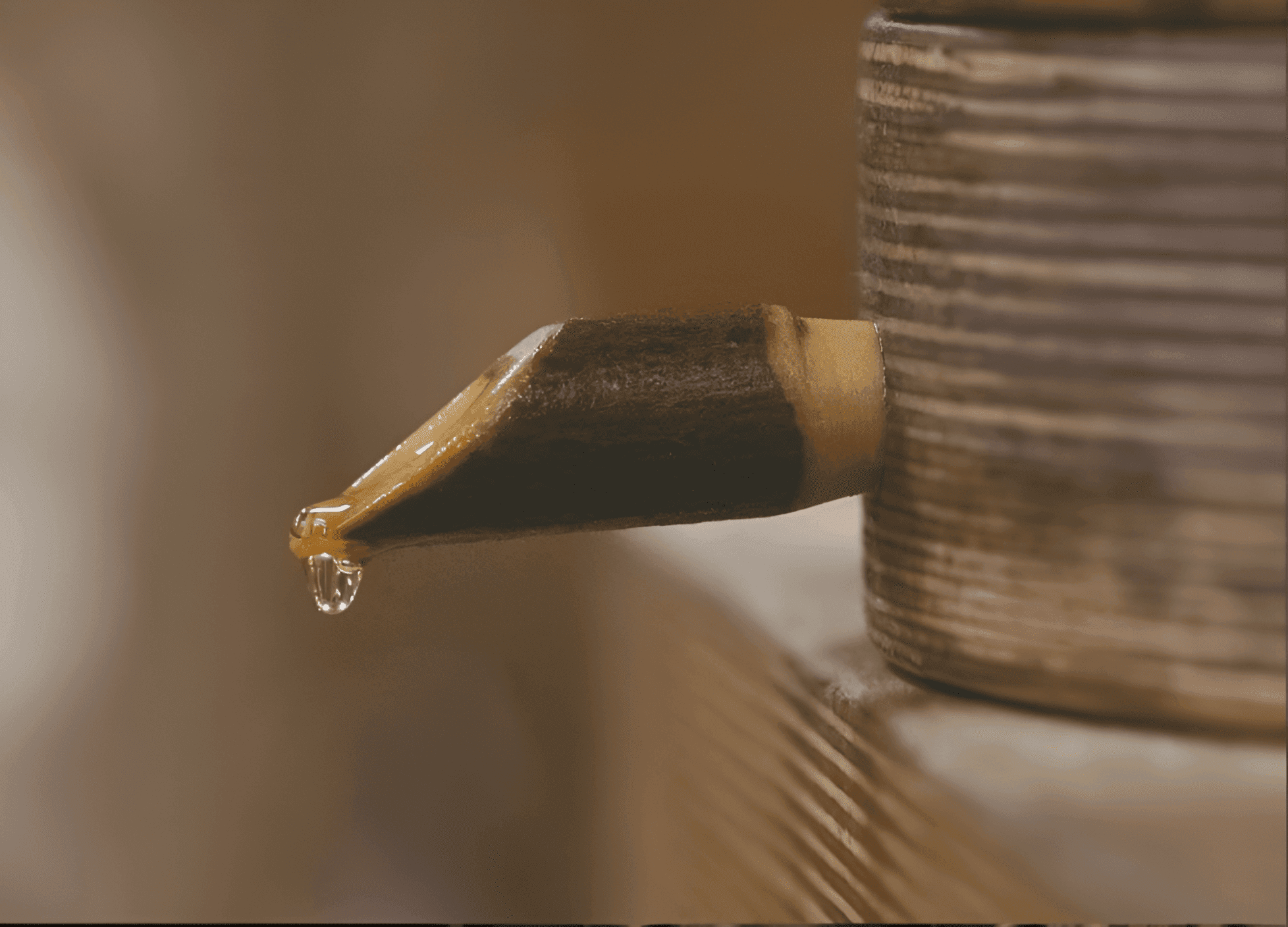 depicting the process of squeezing cedar juice from the cone