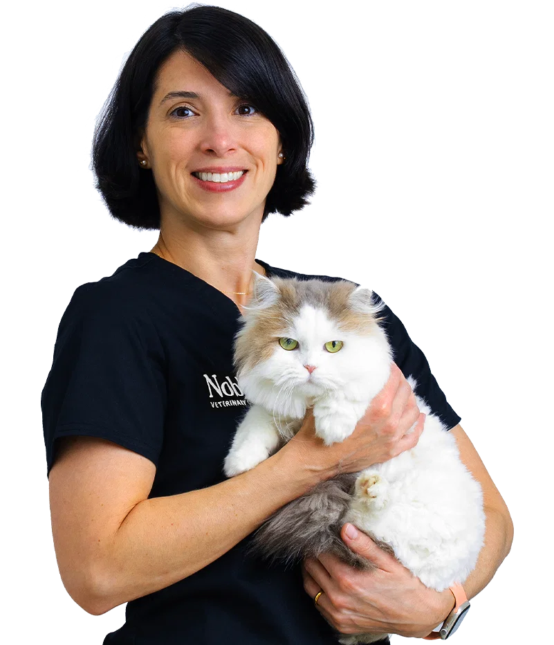 Dr. Leticia Maia: Veterinary Surgeon