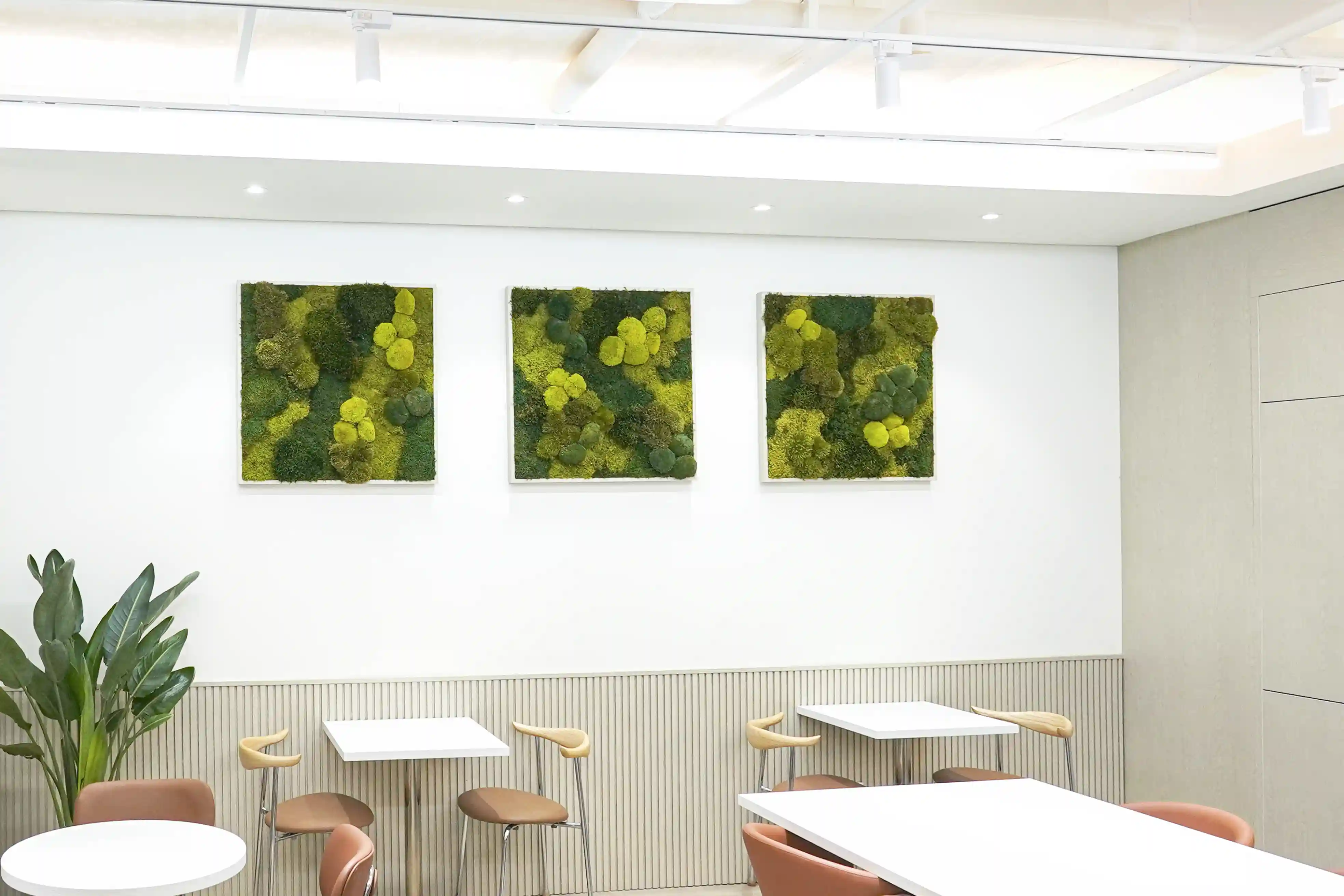 사옥에 설치된 에코피플 모스아트이다