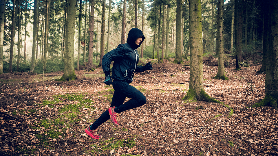 Person runs through a forest