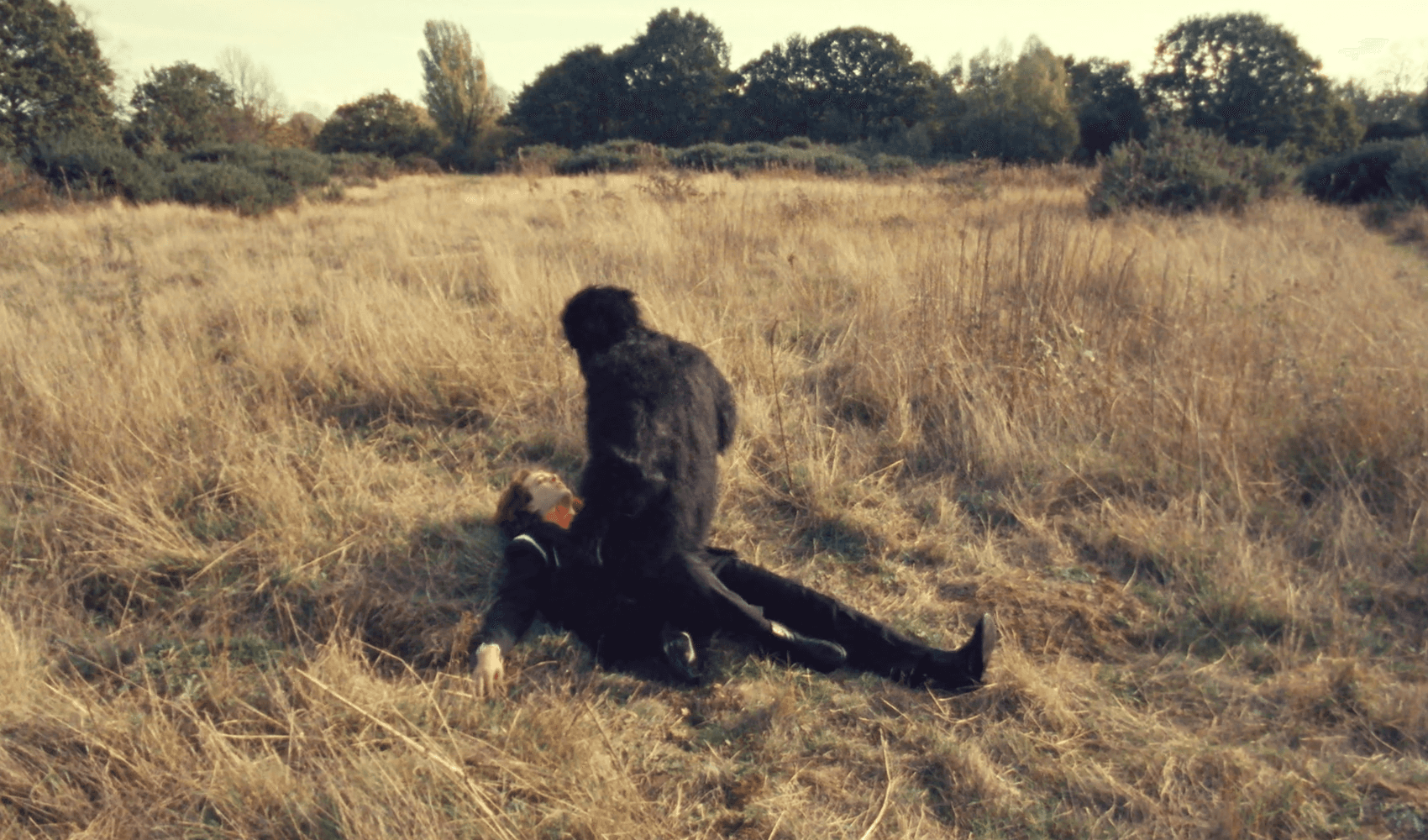 Modern architectural walkway with angled roof and sunlight.