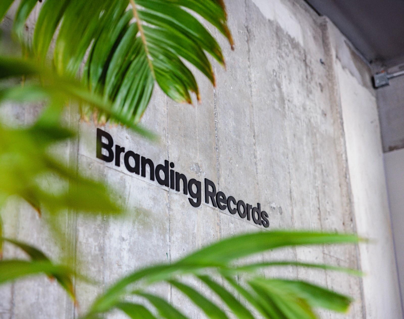 Dom Pérignon vineyards from the sky