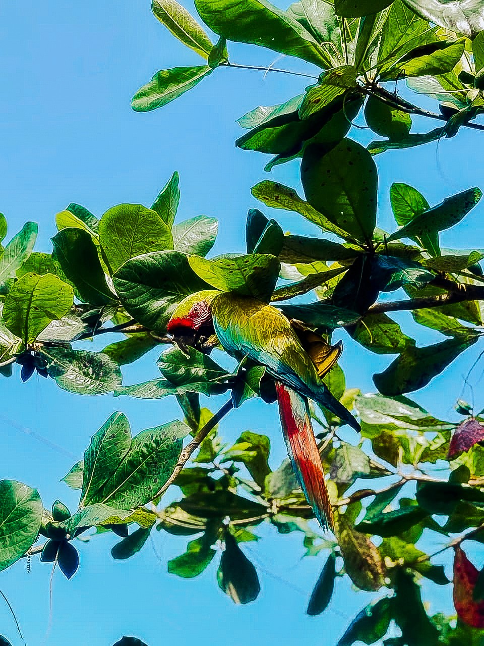 person in orange jacket standing on brown rock near snow covered mountain during daytime