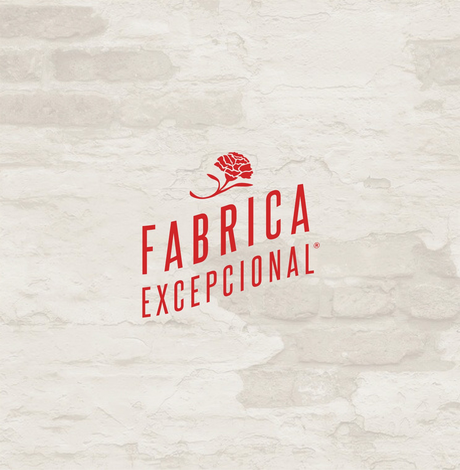 brand identity featuring custom typography, visual storytelling and hospitality branding