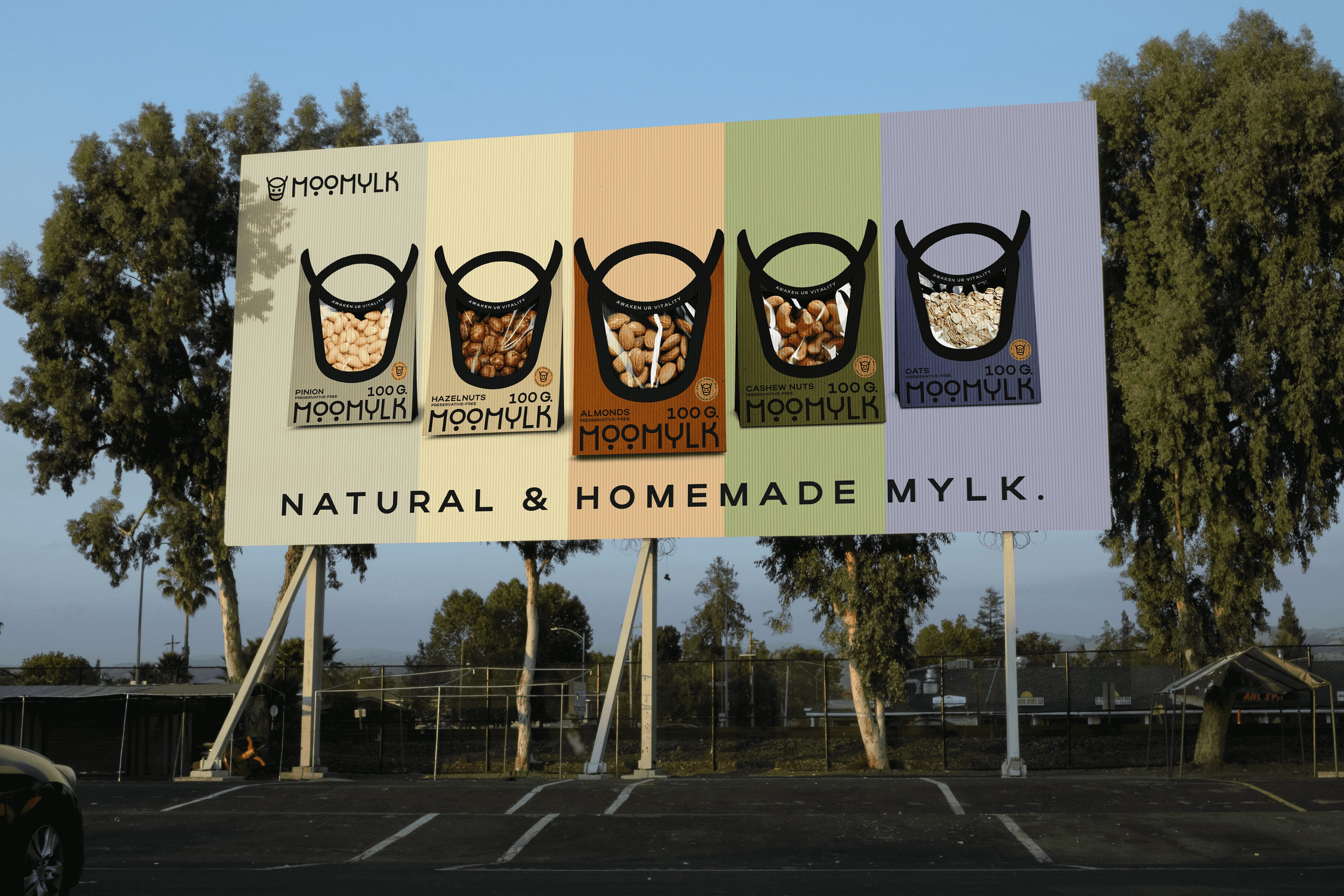 Large Project Gallery Image #3