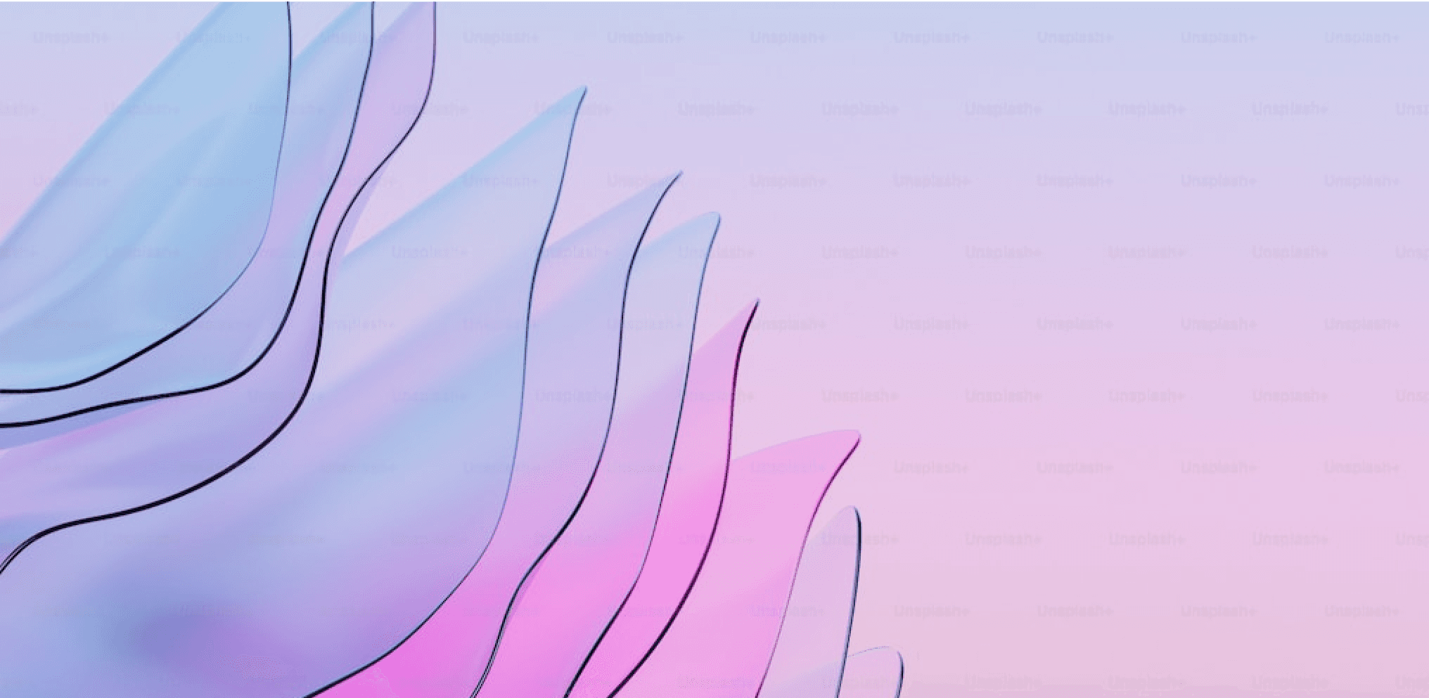 Purple Flower