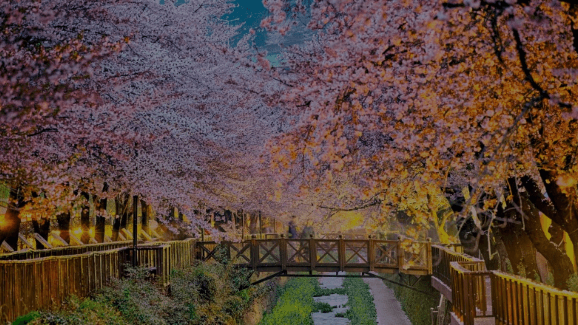a crowd of people watching a fireworks display