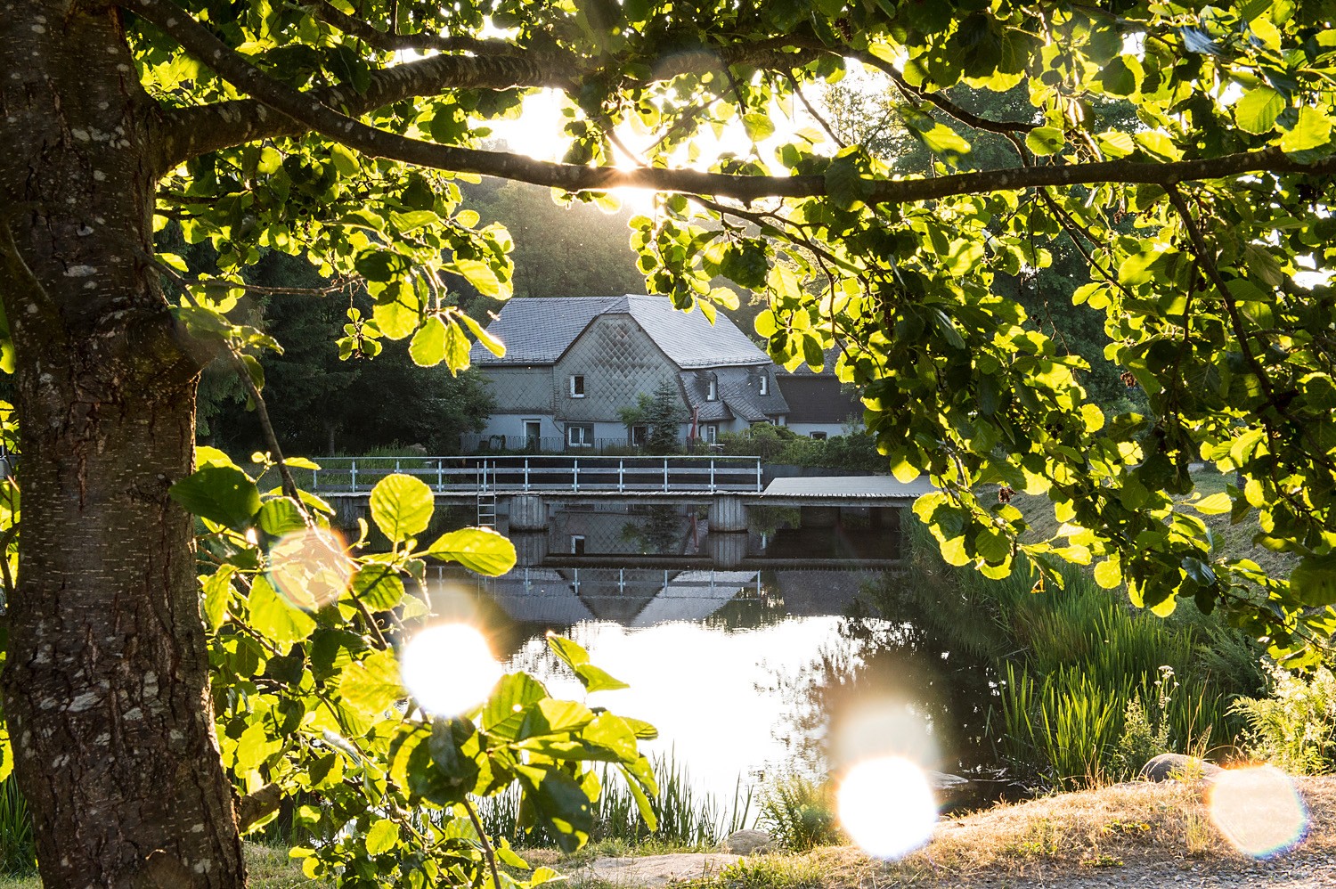 Bathing lake with a mill house in the background photographed in the morning with green foliage in the foreground