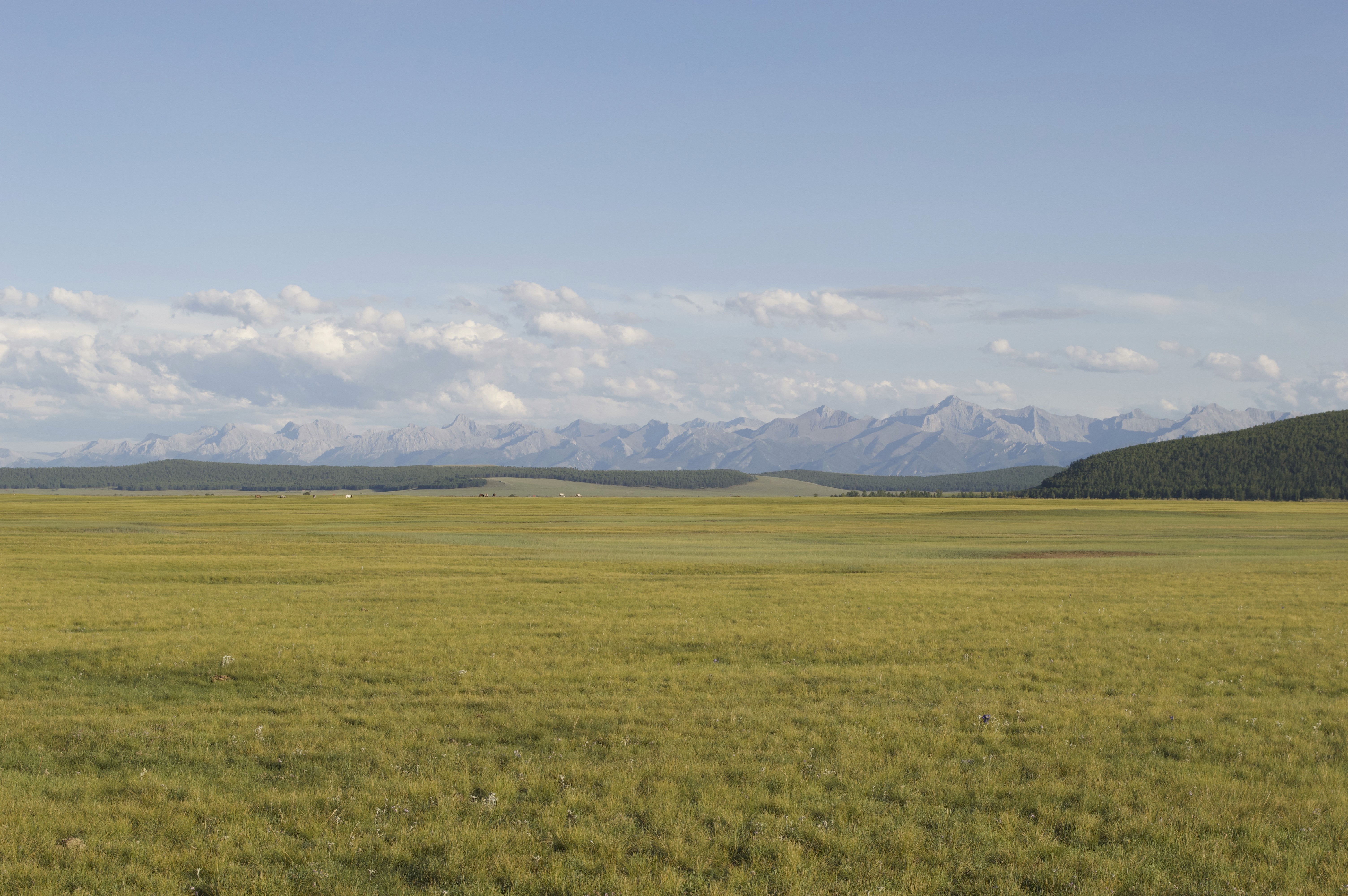 Mongolian landscape near the Khuvsgul area
