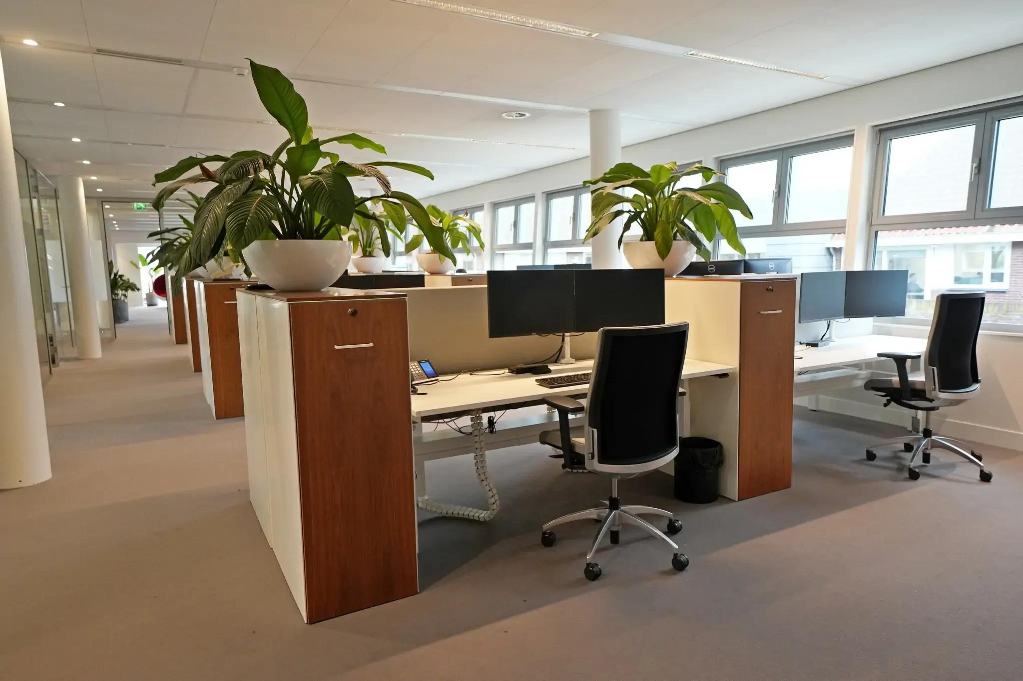 Nieuwe kantoorinrichting Bavinckhouse door Perla