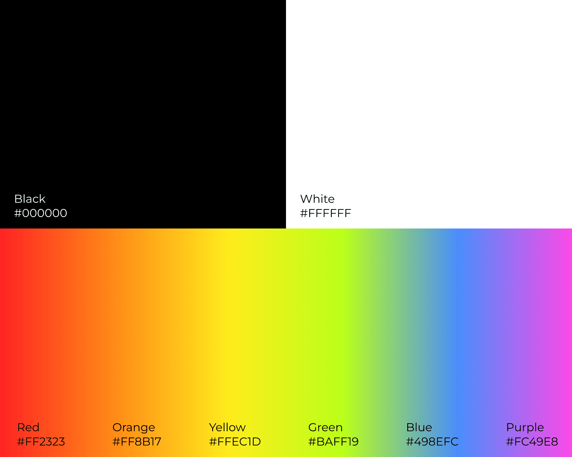 The Vitame color palette, which features black, white, and a vibrant rainbow gradient.