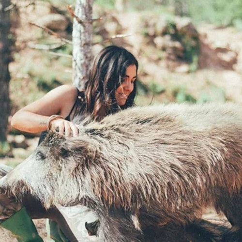 Wild Forest Reserve Foundation