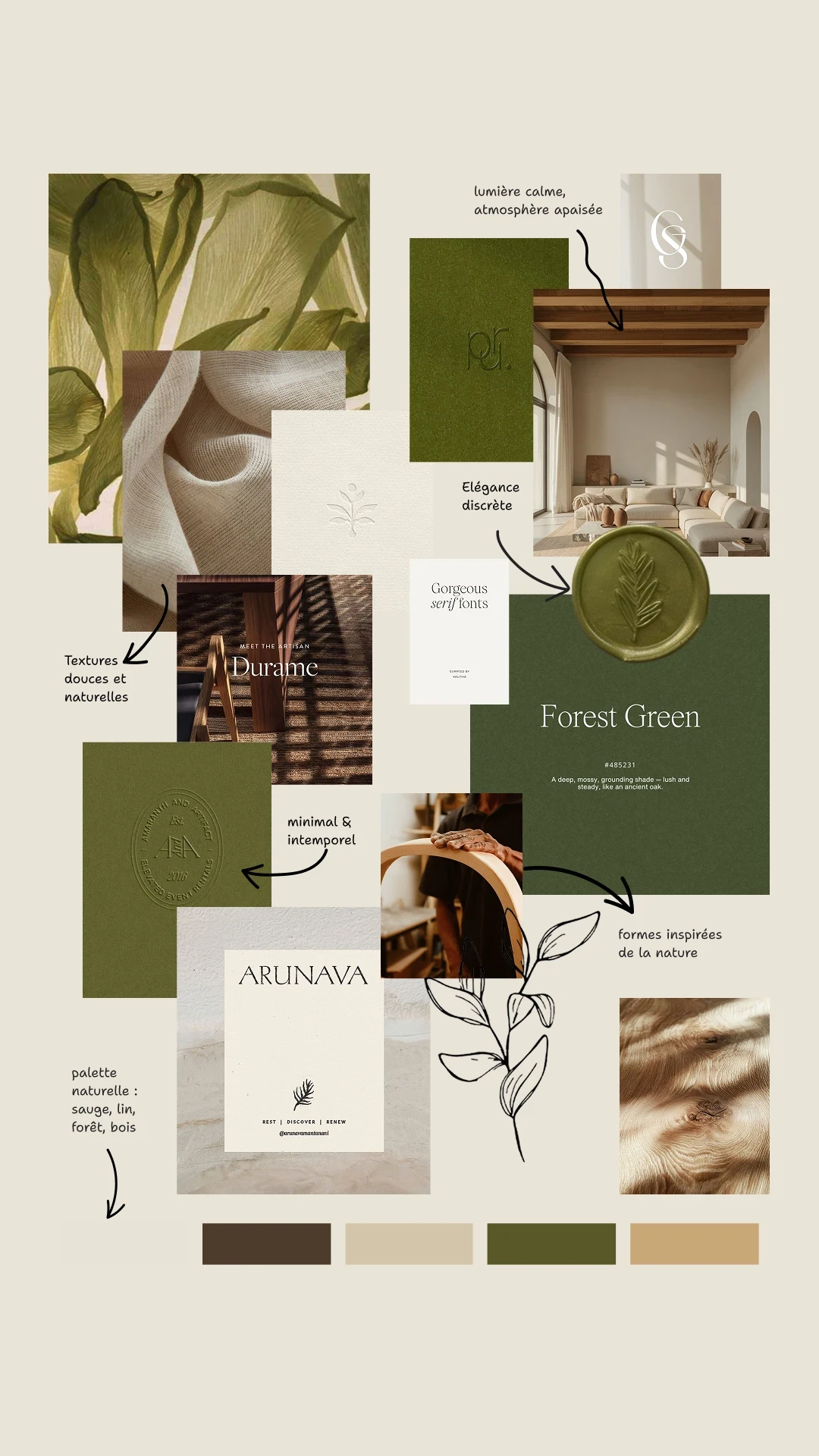 Moodboard de l'identité visuelle Graine & Sauge, matières naturelles, végétaux et palette de couleurs