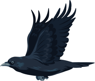 Crow 01