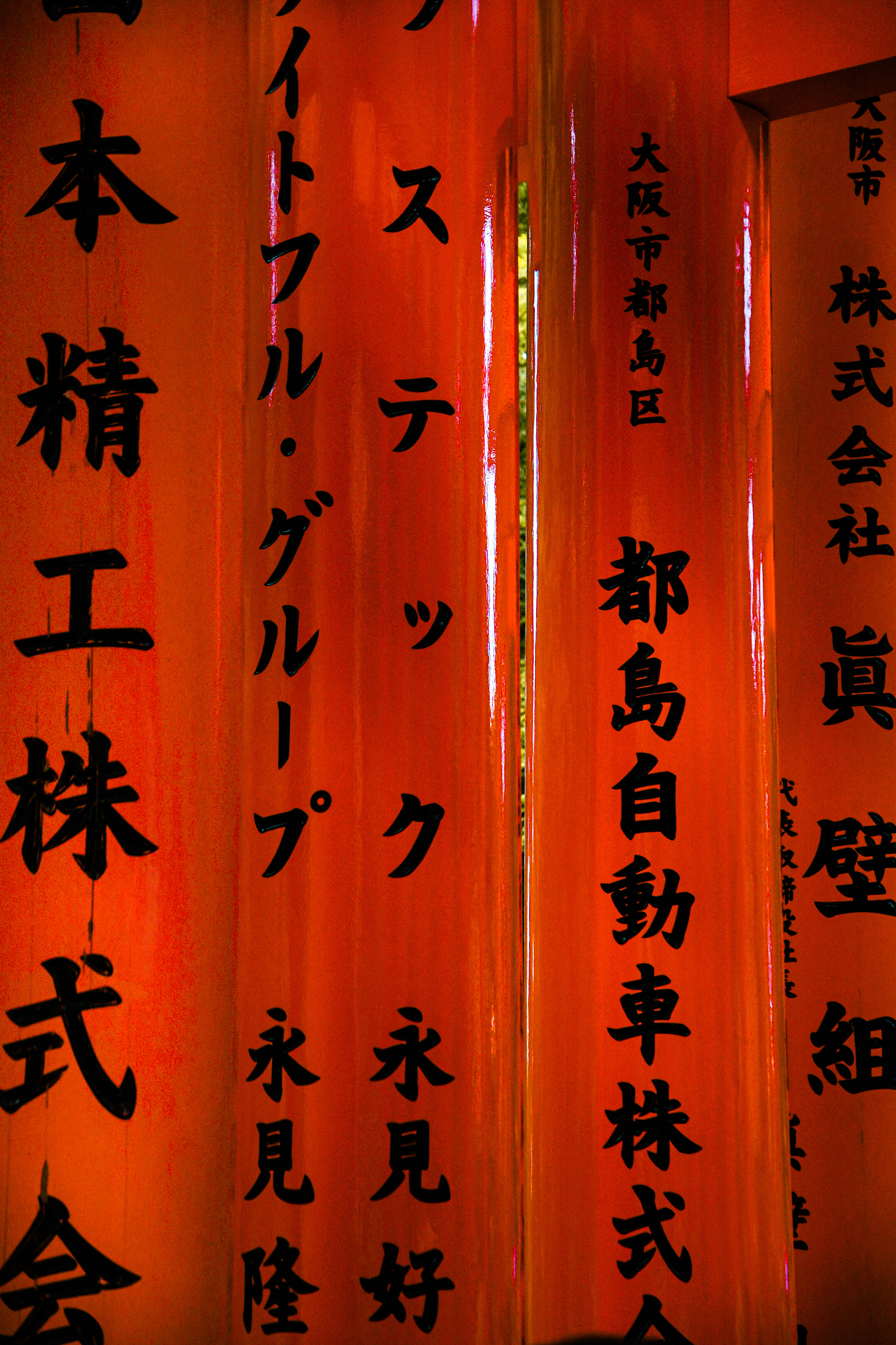 Fushimi Inari Shrine Tori Gates, Kyoto