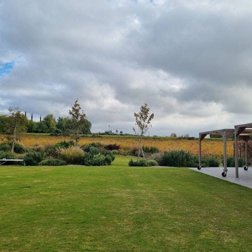 Outdoor terrace and vineyards