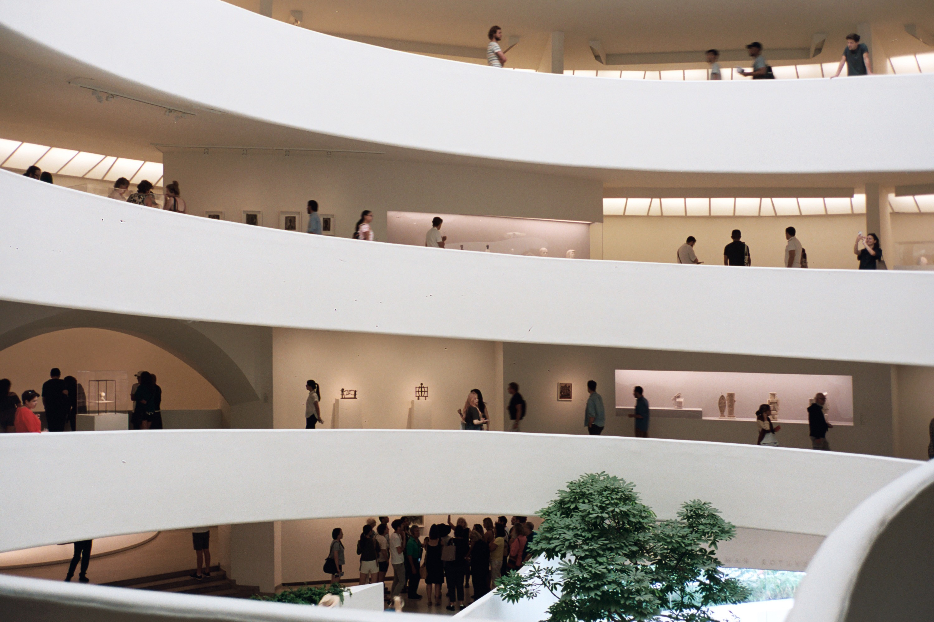 nyc guggenheim museum 35 mm film