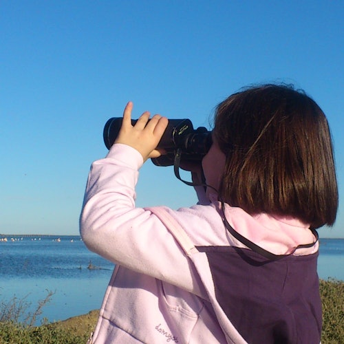 Observación de aves con binoculares