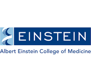 Albert Einstein College of Medicine logo