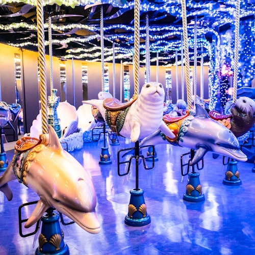 麥克斯水族館品川