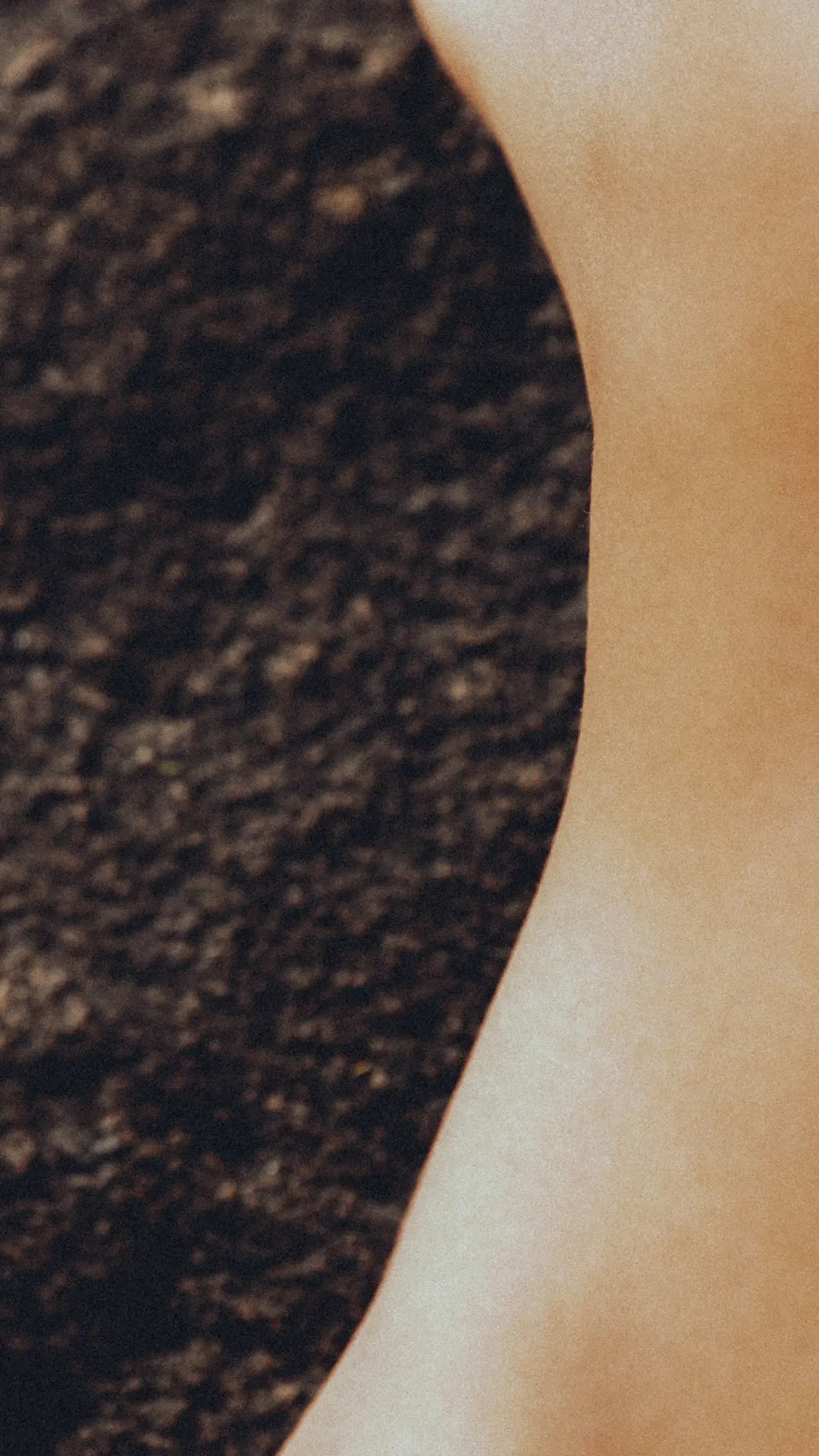 Elevate Life, step into a world