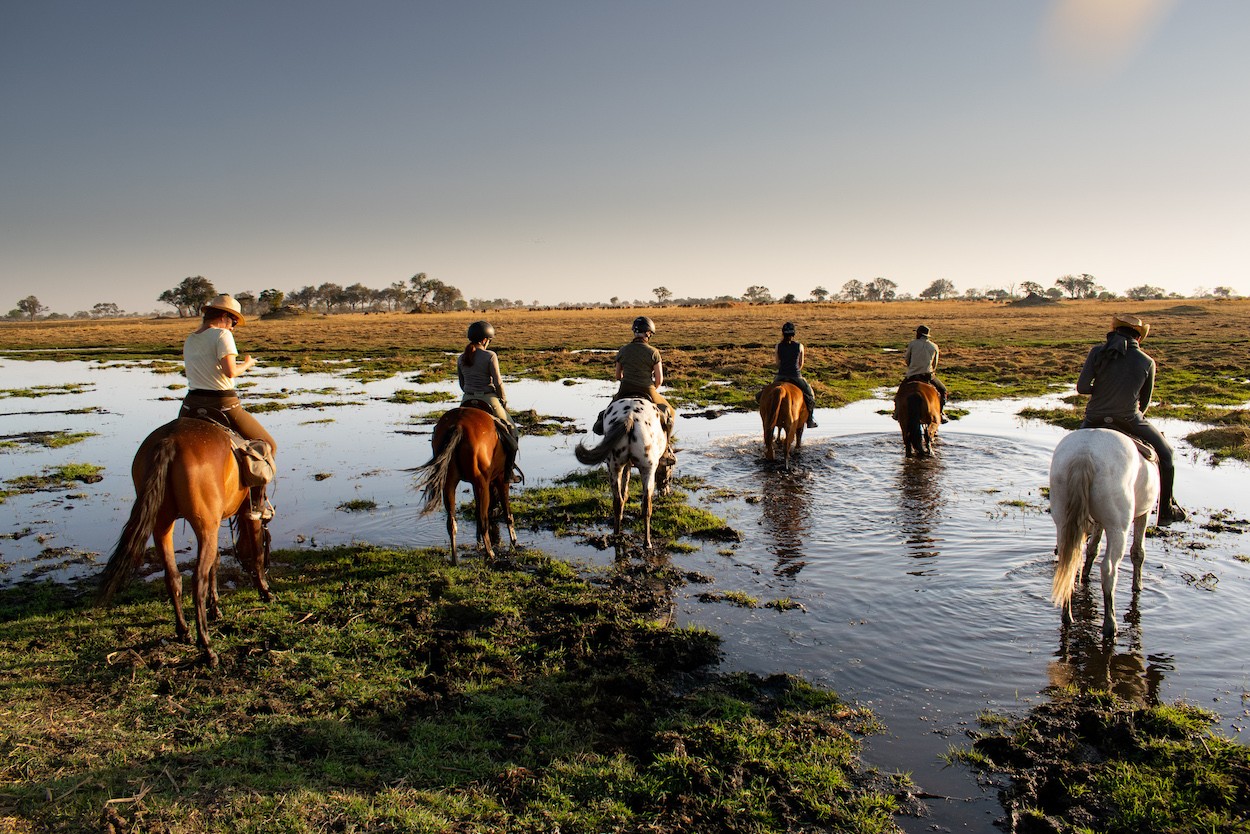 Horse Riding