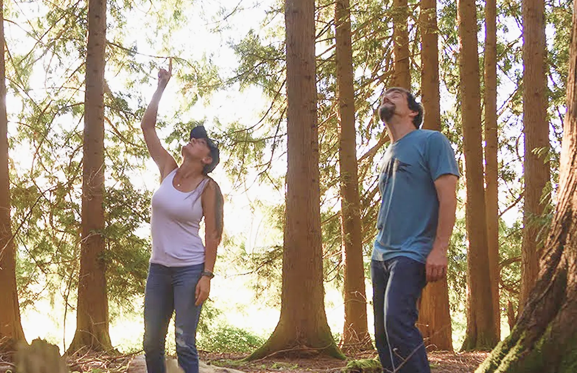 Two people standing together among tall trees on the land.