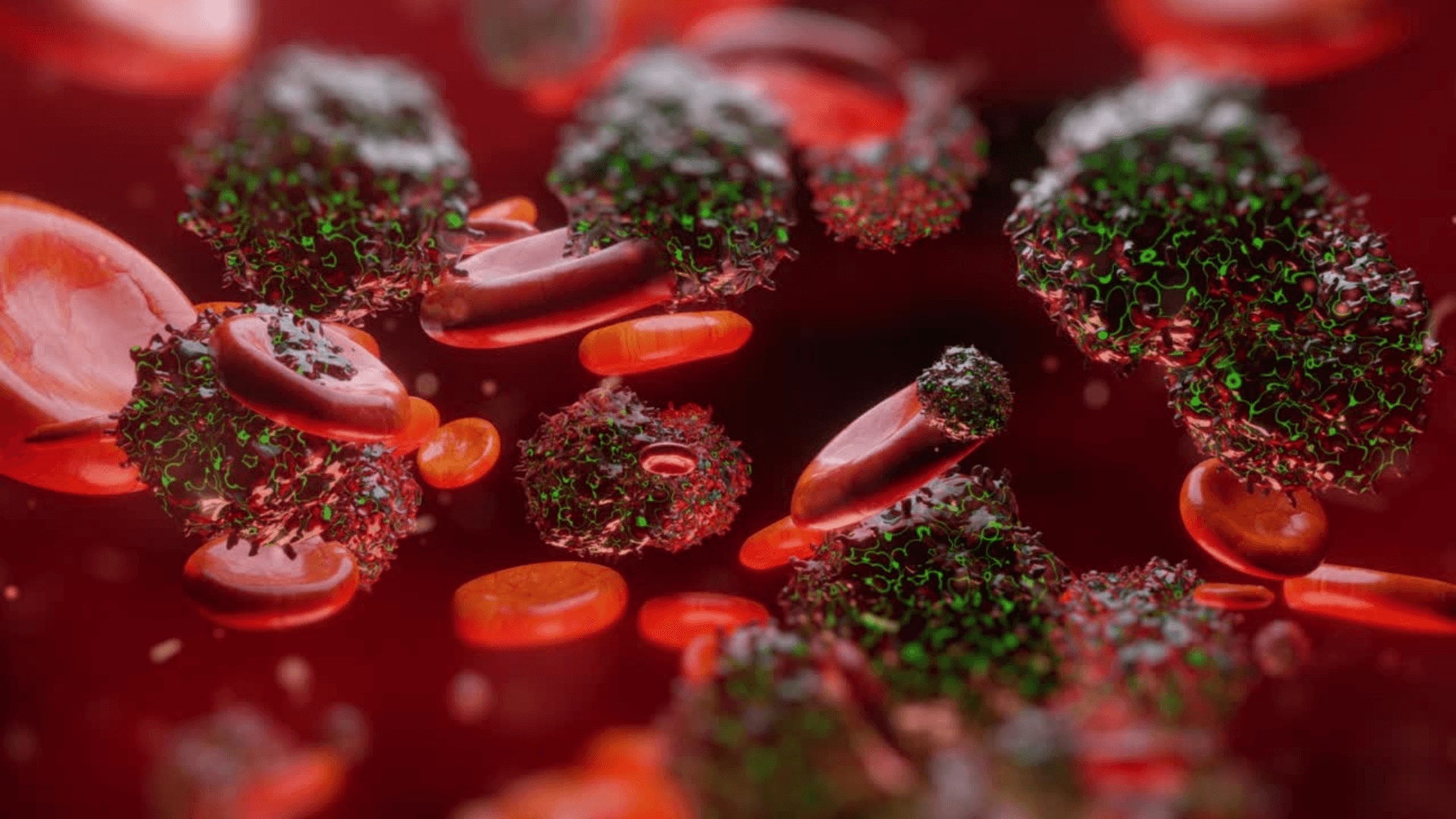 3D medical animation of cells in immunology, showcasing detailed cellular interactions and immune responses for medical education and visualization purposes.