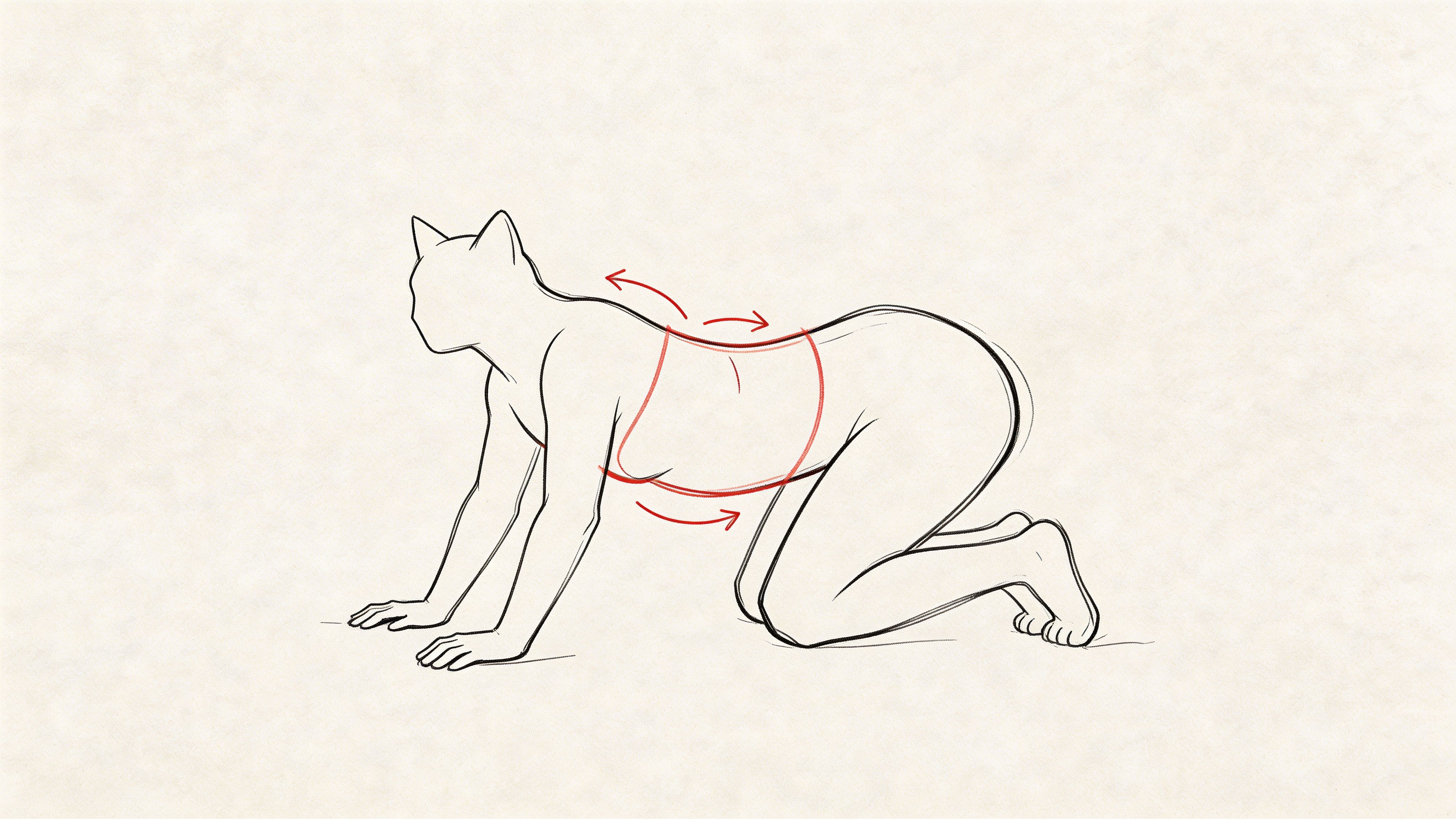 A digital line drawing of a person in a cat pose illustrating stomach bloating and movement.