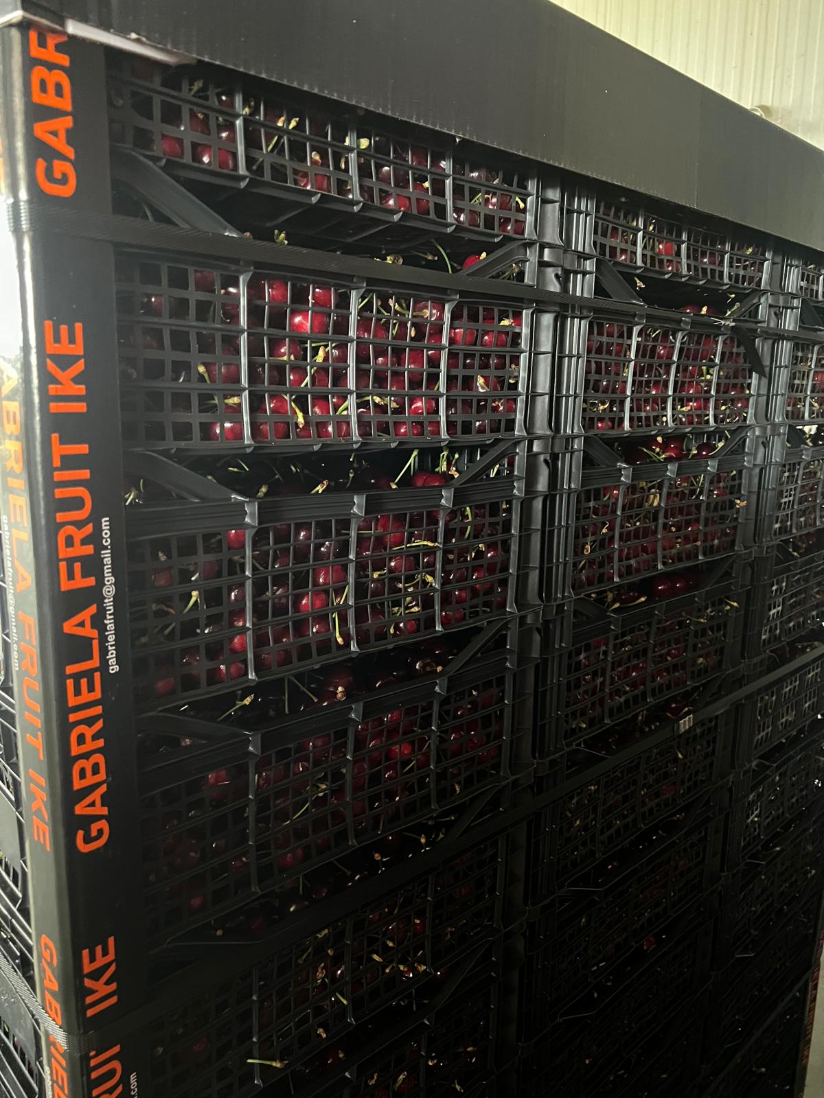 Cherry crates in cold storage ready for truck loading.