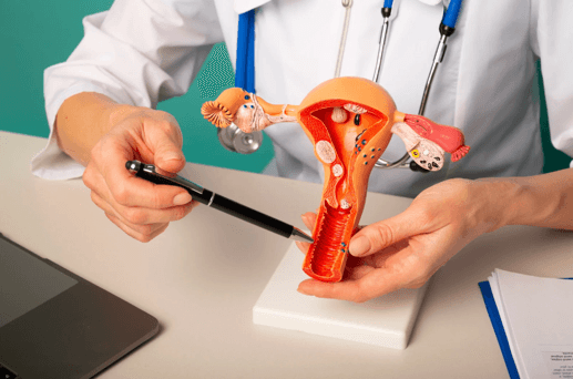 A person holding a pen and model of a uterus

AI-generated content may be incorrect.