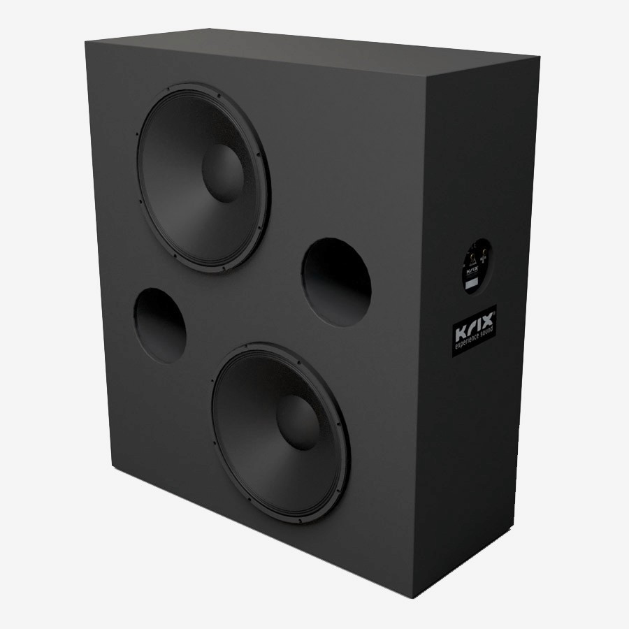 Black speaker cabinet with two woofers and two ports
