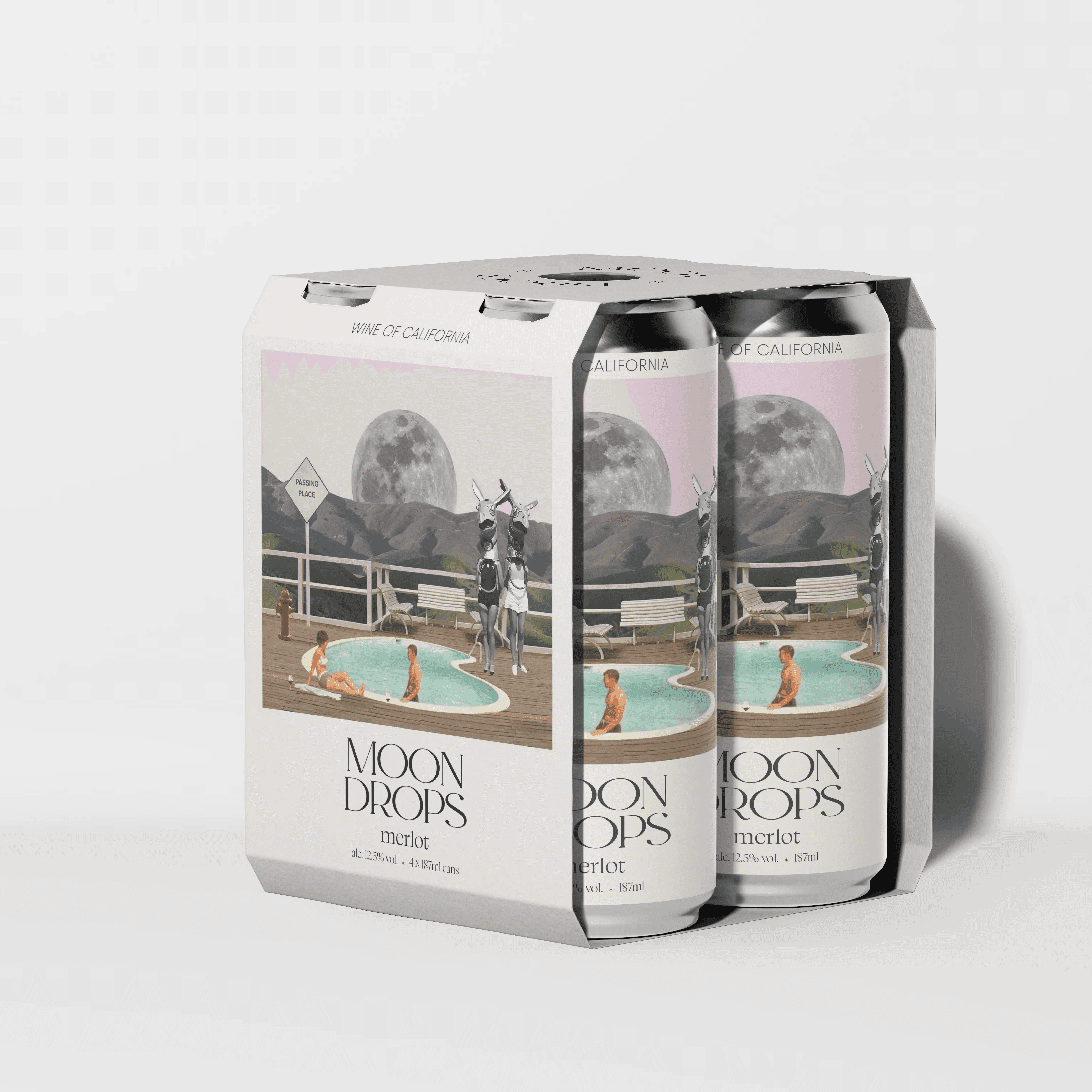 A mockup of the inside of a book, it shows on one page images of people boating in the pools. On the other side theres a column of words, with some slightly faded, being seen though the paper.