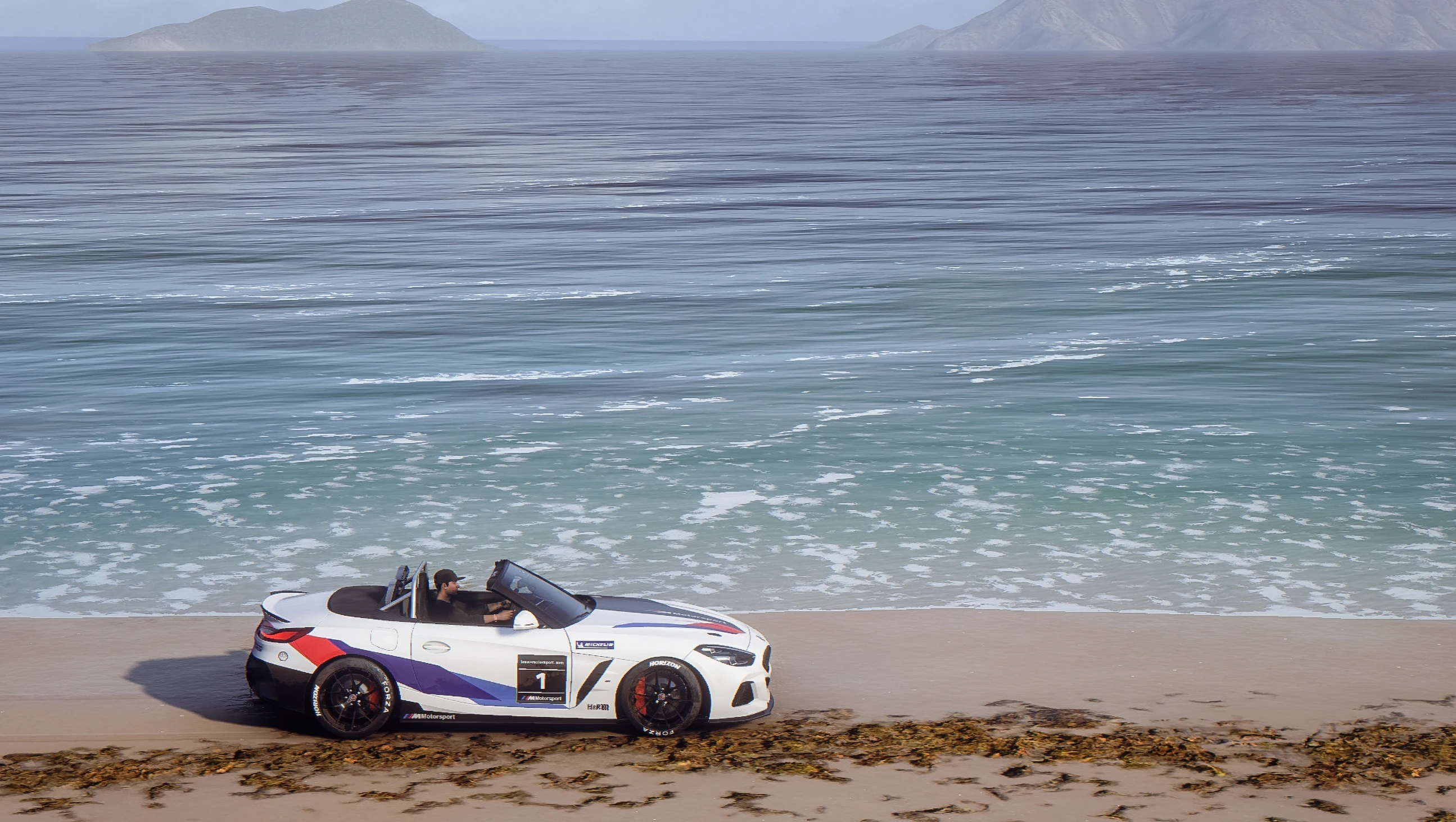 BMW z4 Roadster - z4 Motorsport