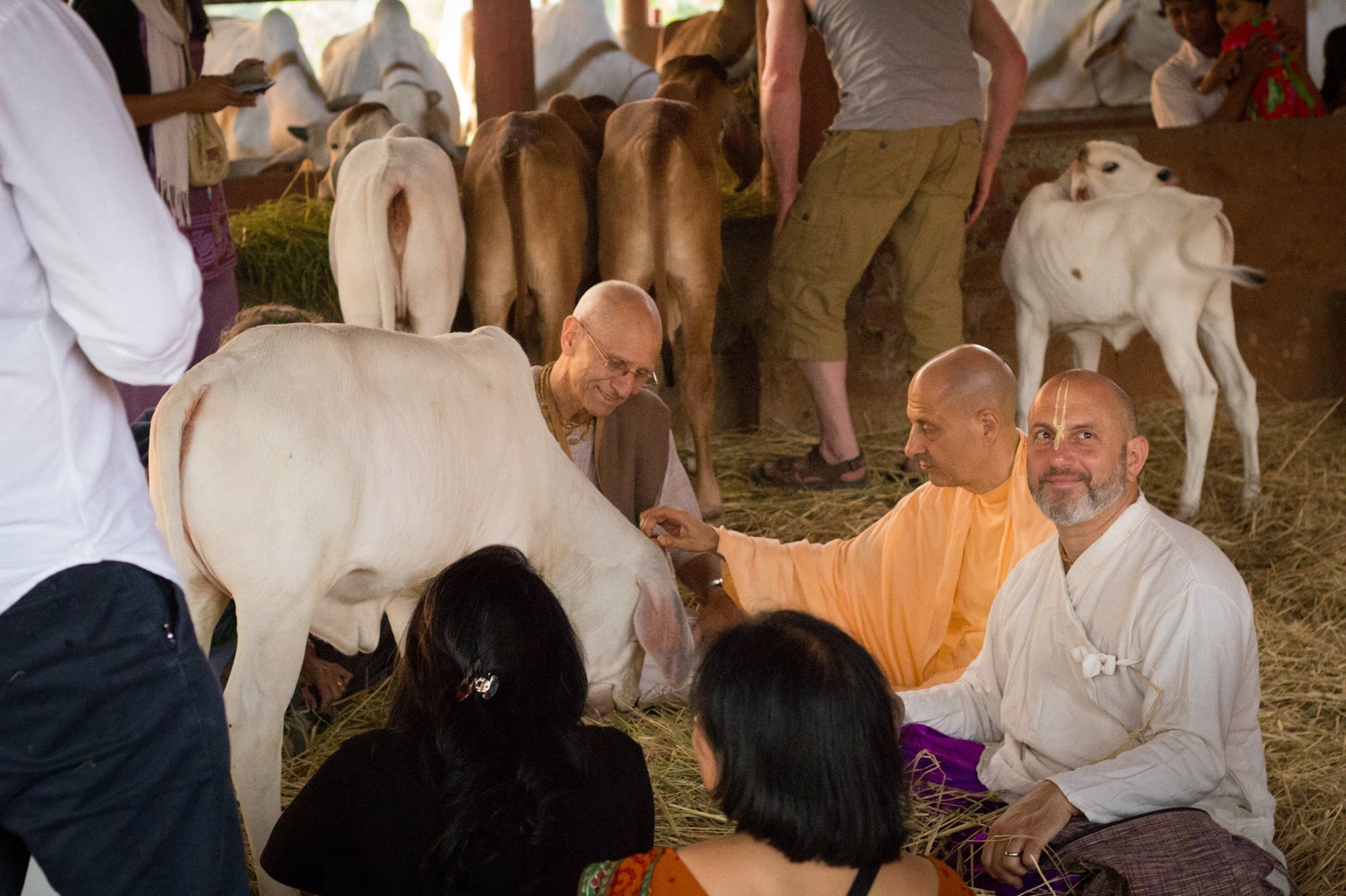 Raghunath Cappo and Radhanath Swami at Govardhana Eco Village