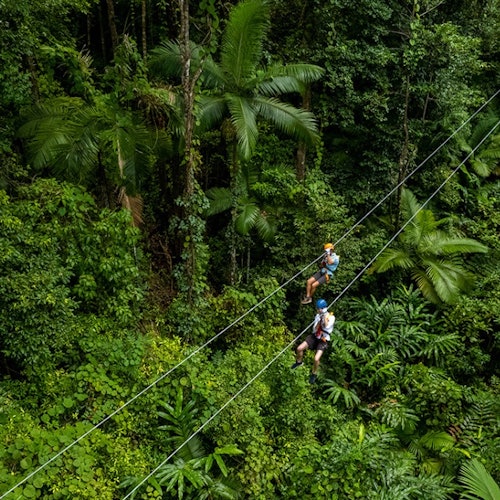Biglietti per Treetops Adventure - Cape Tribulation