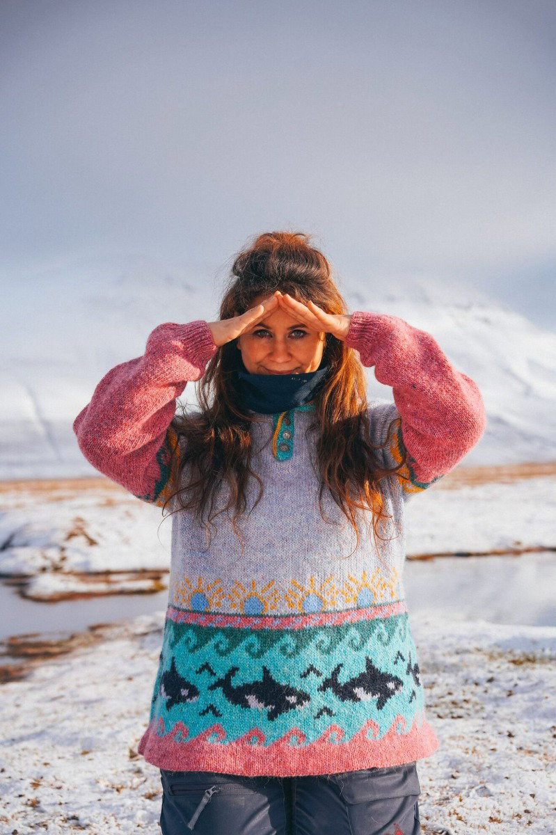 Nature Conservation Sweater knitting pattern by Linka Neumann