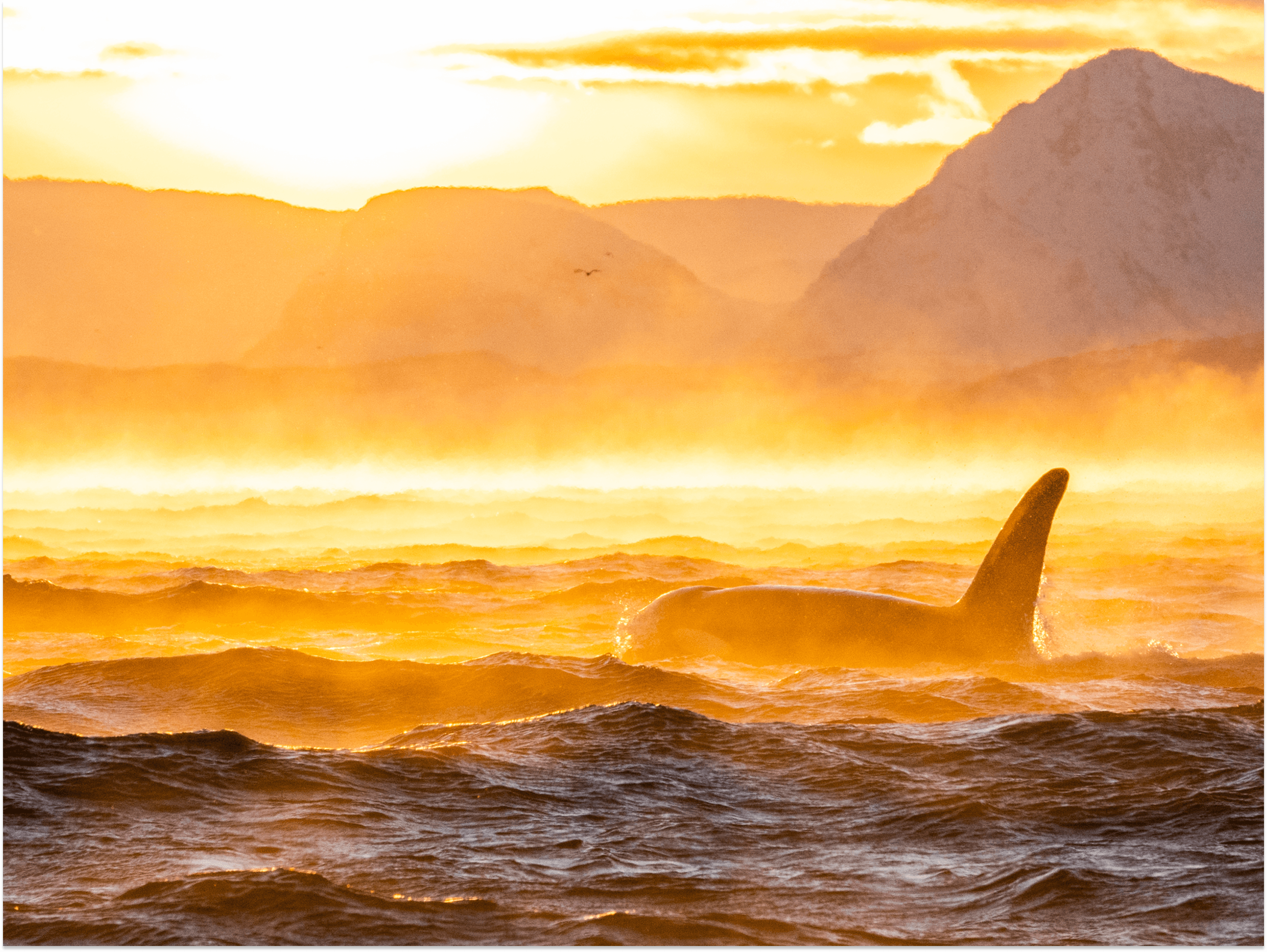 Credit: Ismaele Tortella - Visit Norway