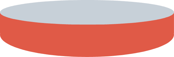 Burger Patty With Cheese