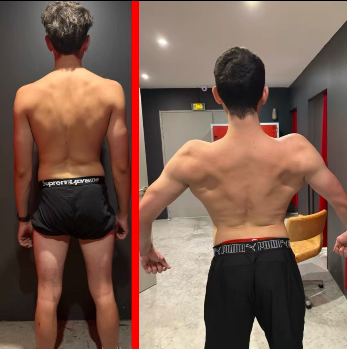 Prise de muscle