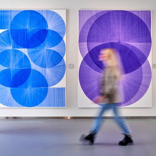 北布拉班特博物館的當代藝術