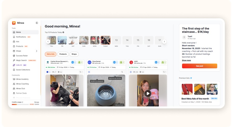 Minea dashboard showing trending products, competitor ads, and performance insights
