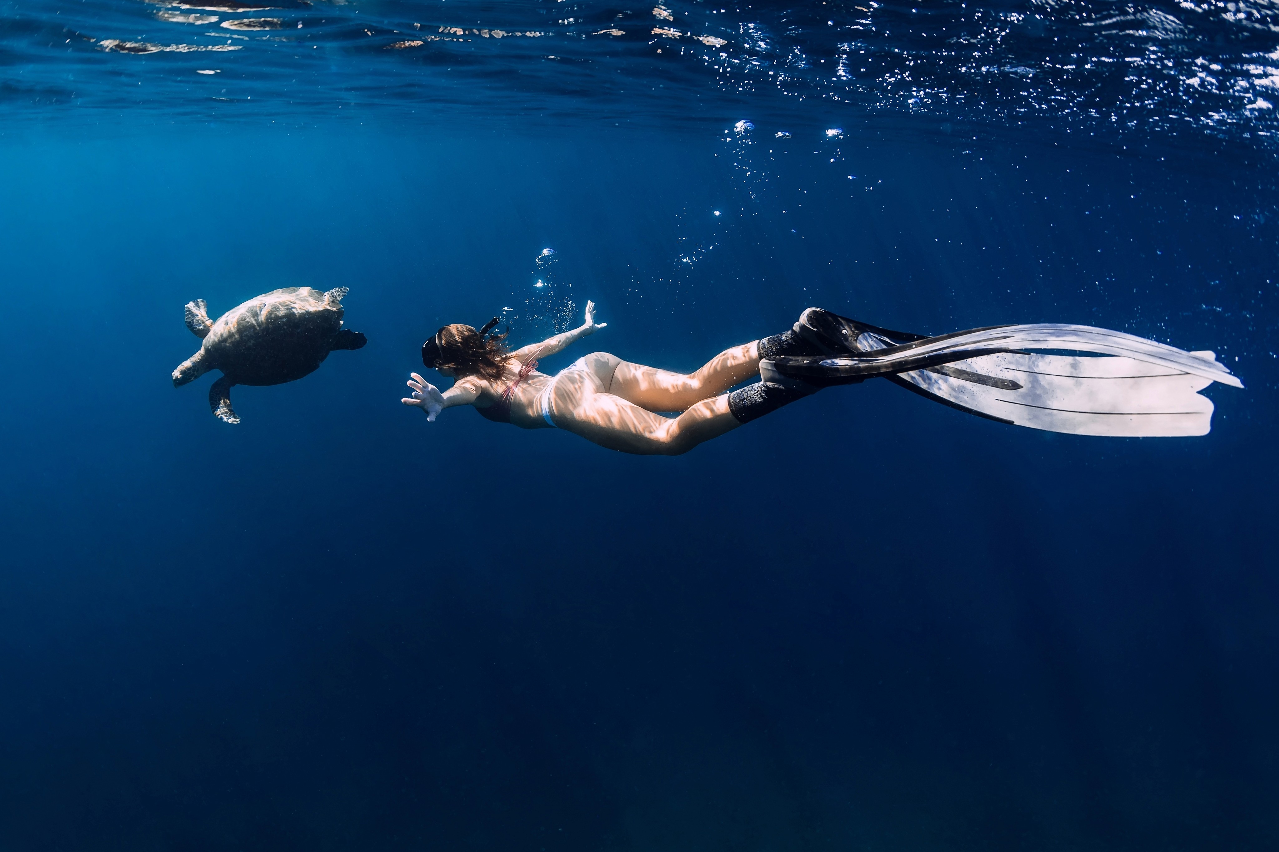 Snorkelling with Turtle