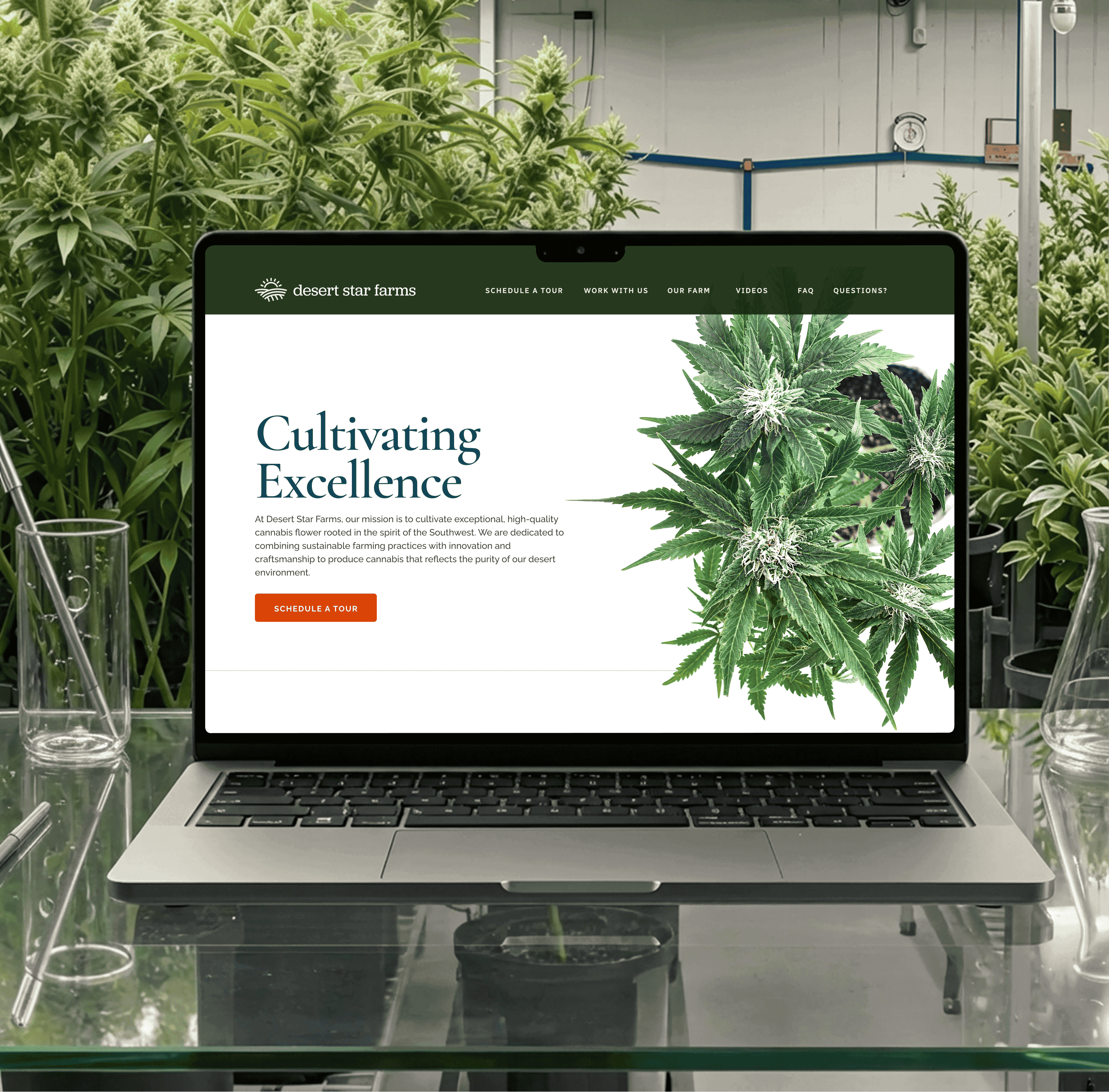 Desert Star Farms - Brand & Website Development