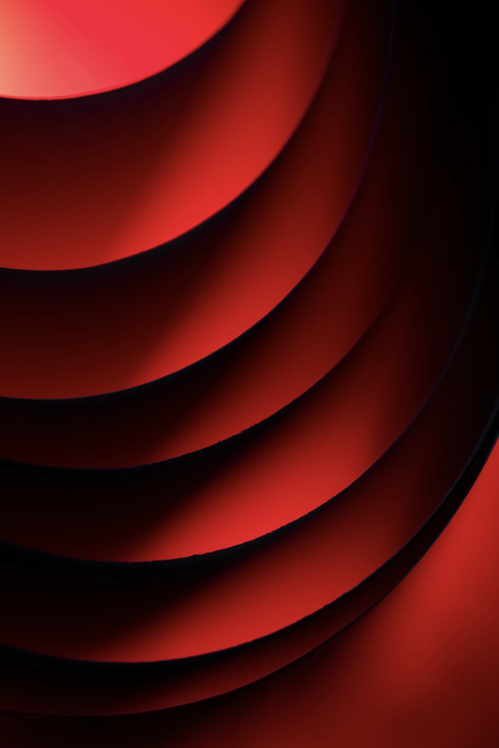 Forest Simon Unsplash