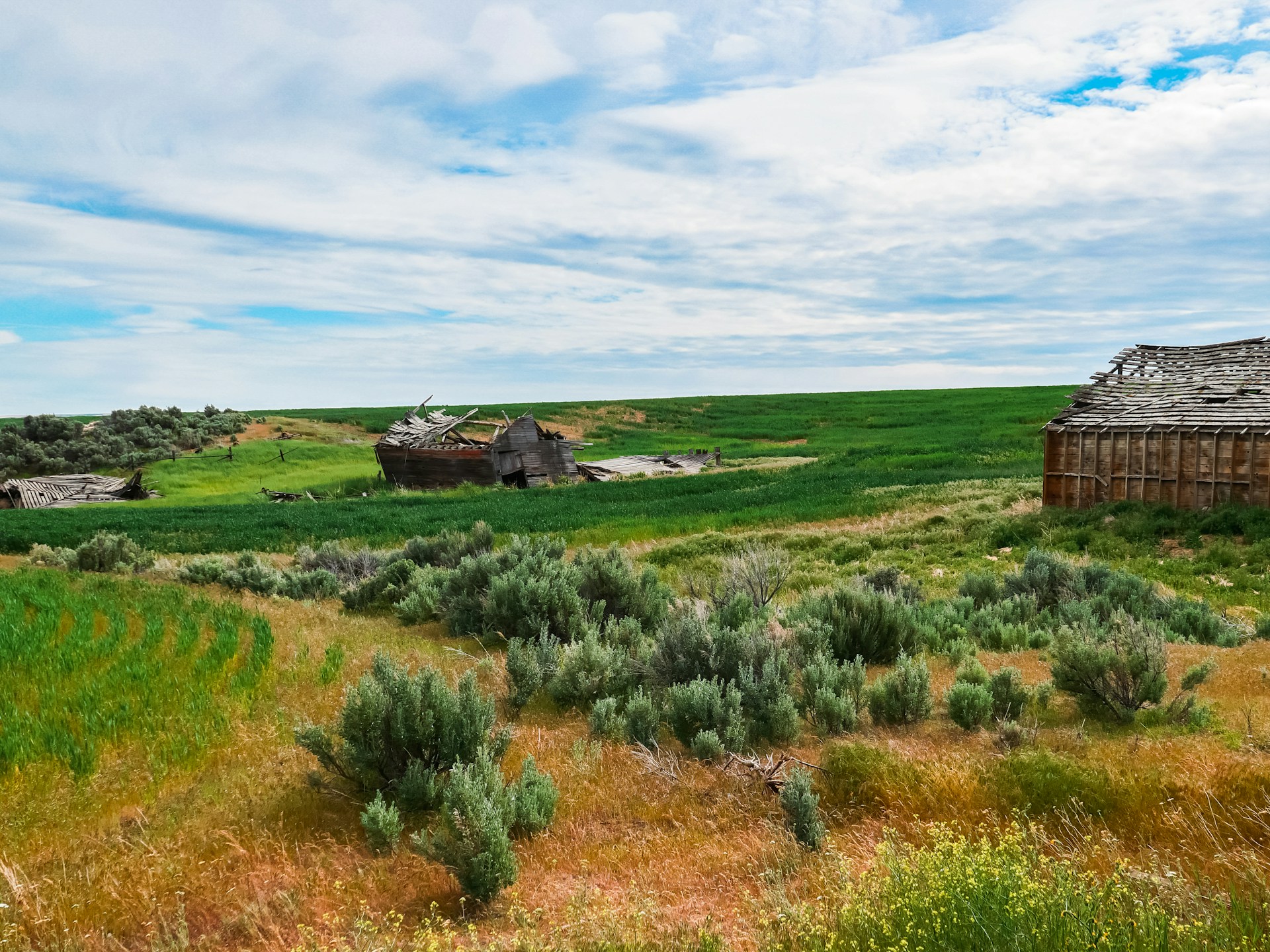 farm in WA