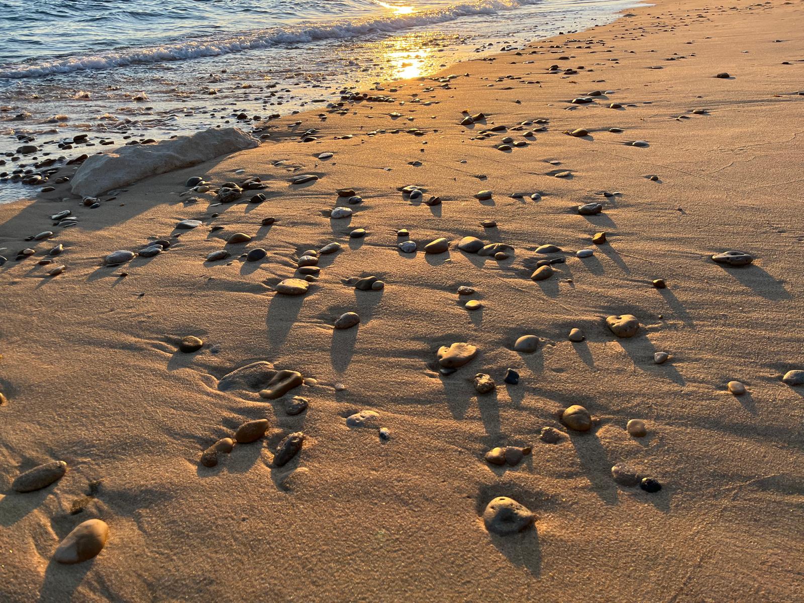 Scattered stones on a wet beach at low tide, lit by late sun.