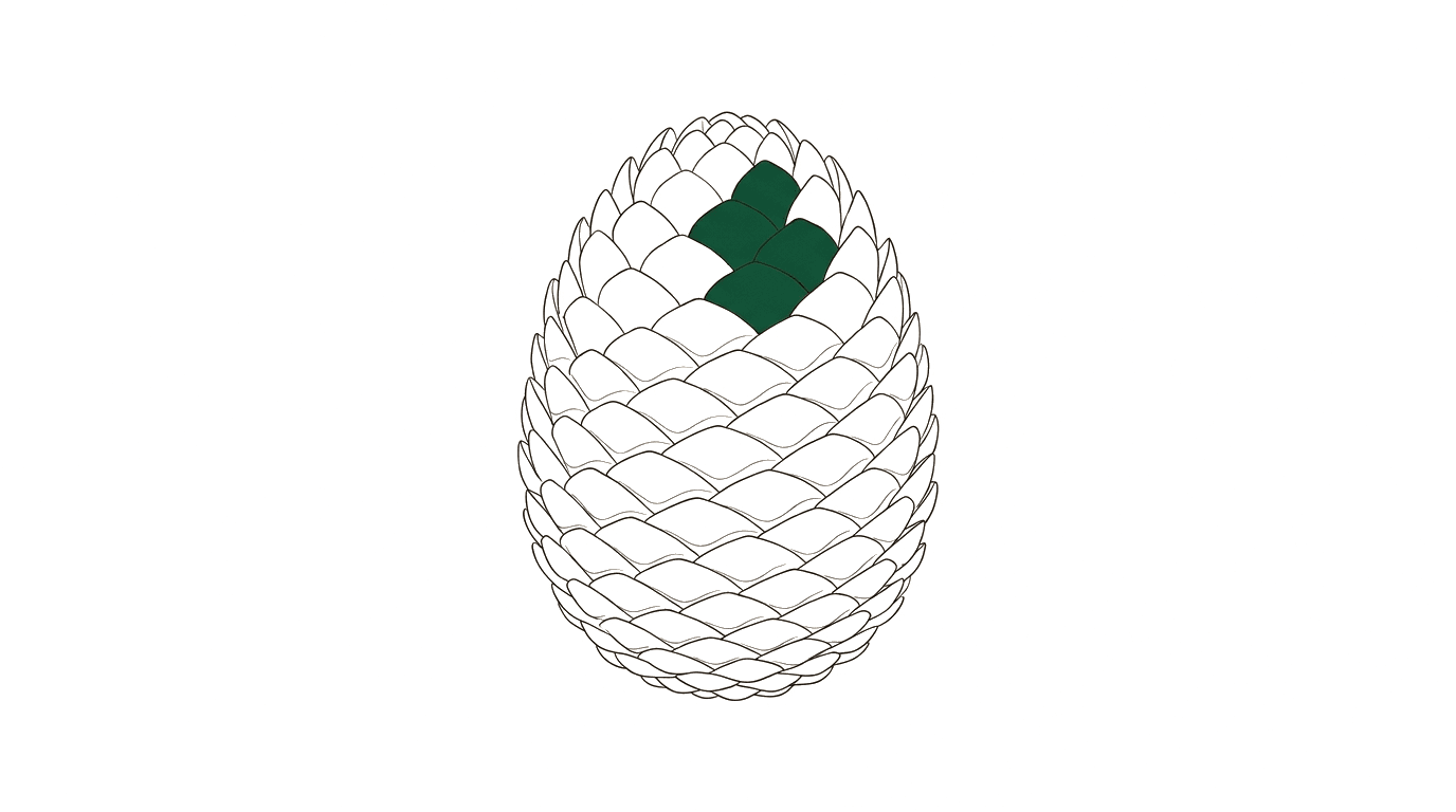 VOB/A: Die wichtigsten Regeln für Bauausschreibungen im Detail — pine cone illustration
